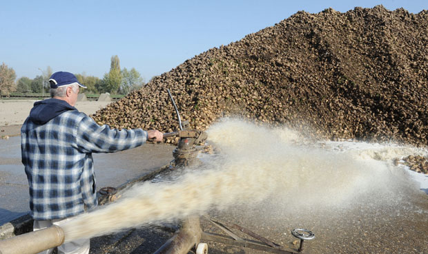 Коле ван сваке конкуренције